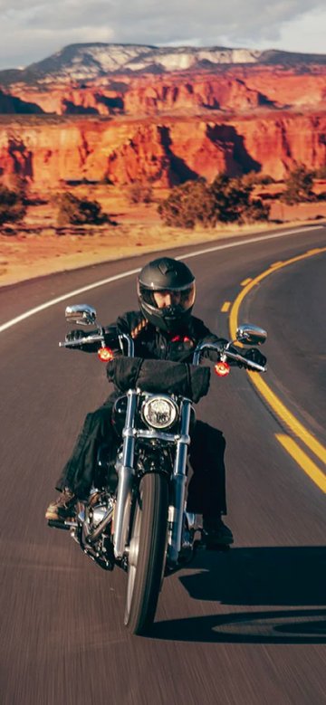 Softail Standard motosiklet görüntüsü