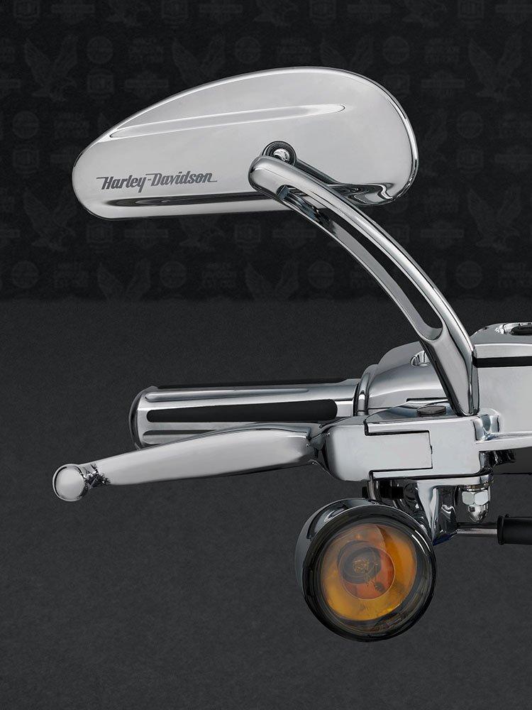 Harley Davidson Accessories Display in Showroom Editorial Stock Photo -  Image of alba, dealer: 143573668