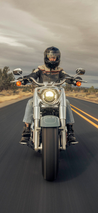 2024 Cruiser Motorcycles | Harley-Davidson USA
