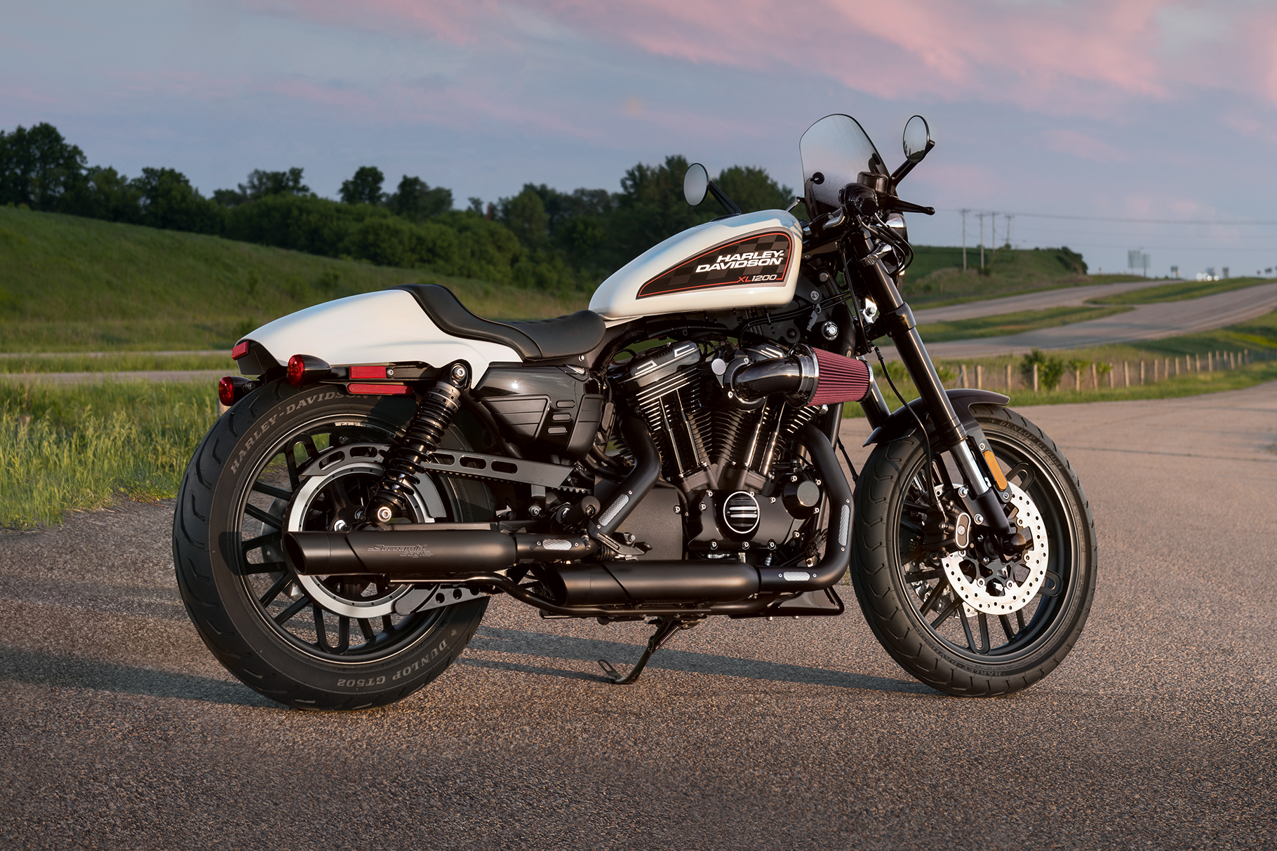  2019  Roadster Motorcycle Harley  Davidson  USA 