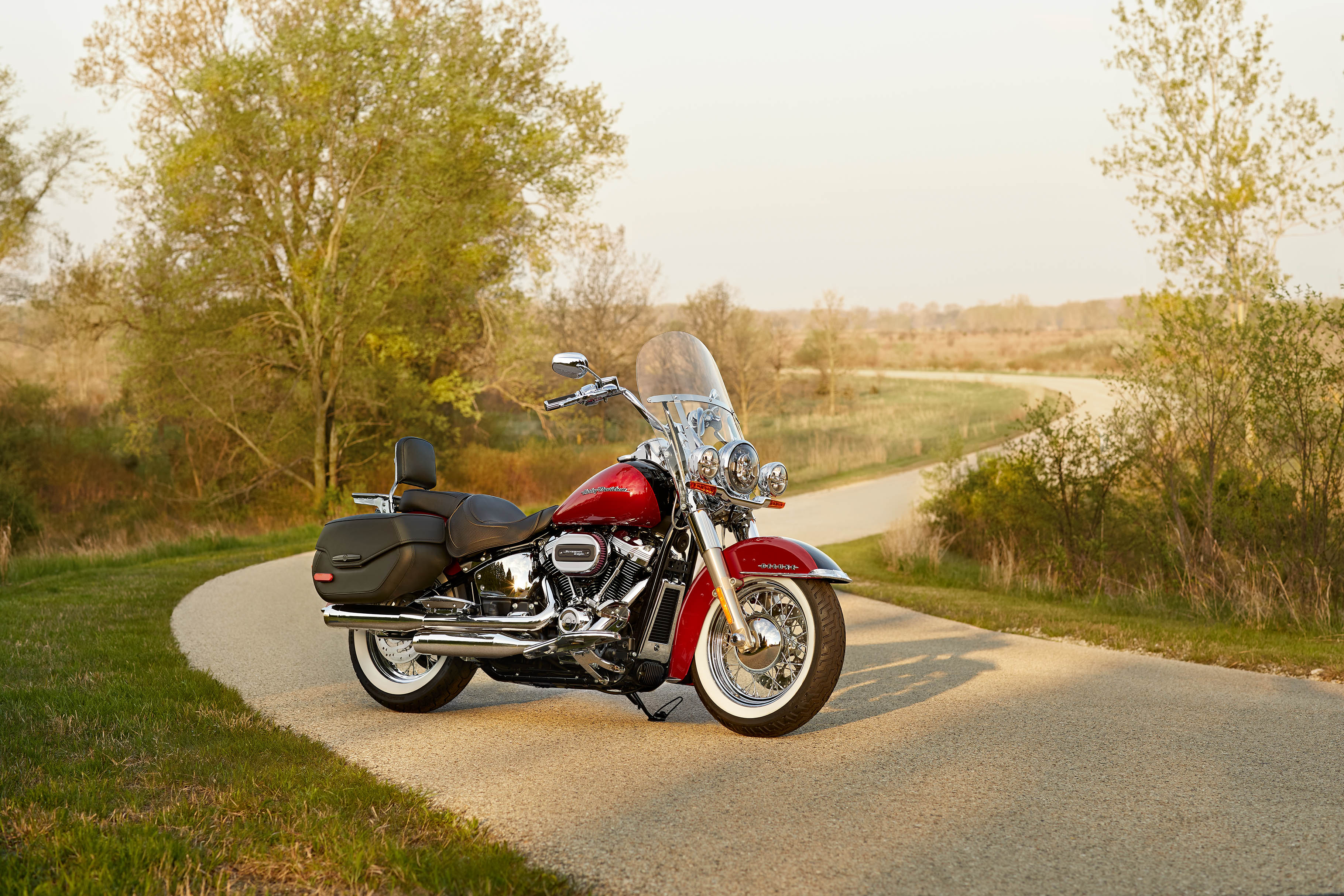 54 Harley Davidson Softail Deluxe 2020