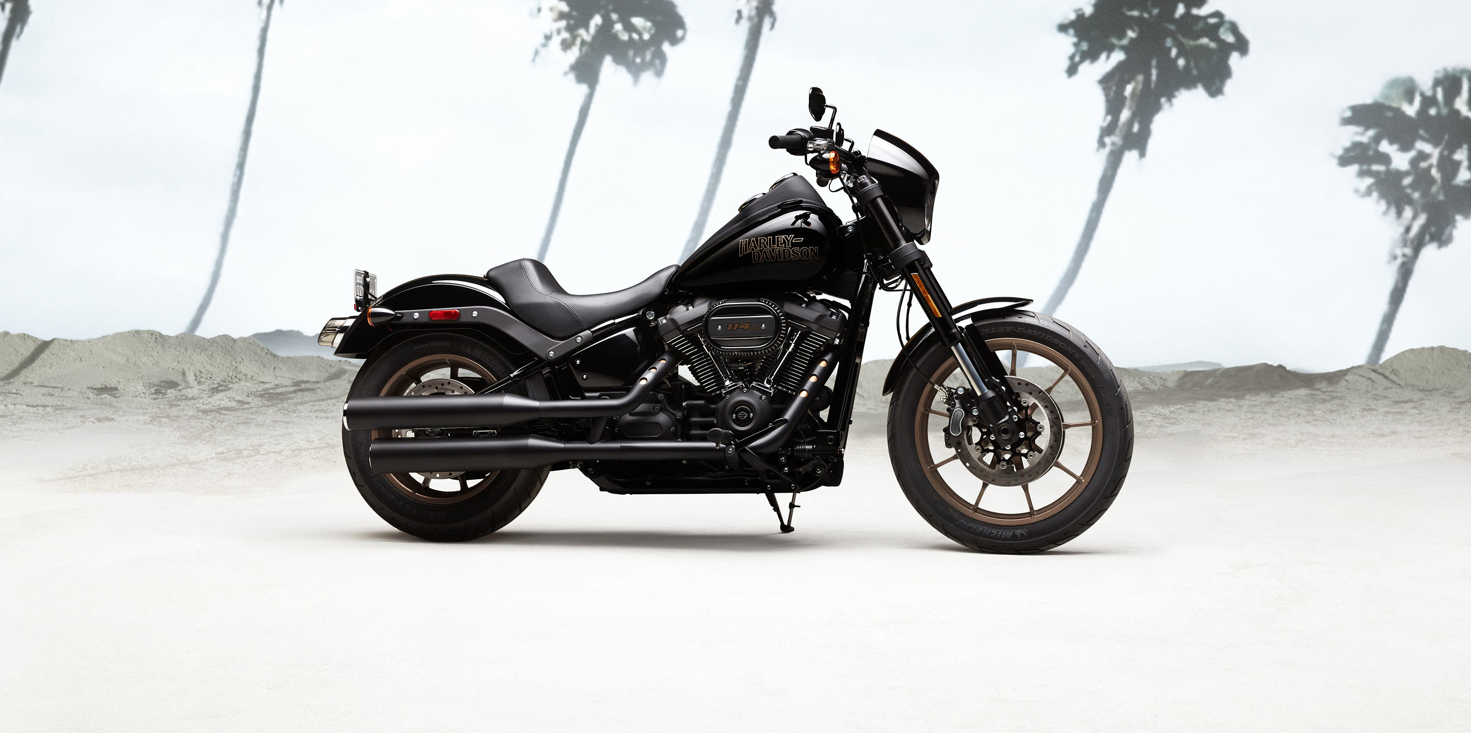  2020  Low  Rider S  Motorcycle Harley  Davidson  USA