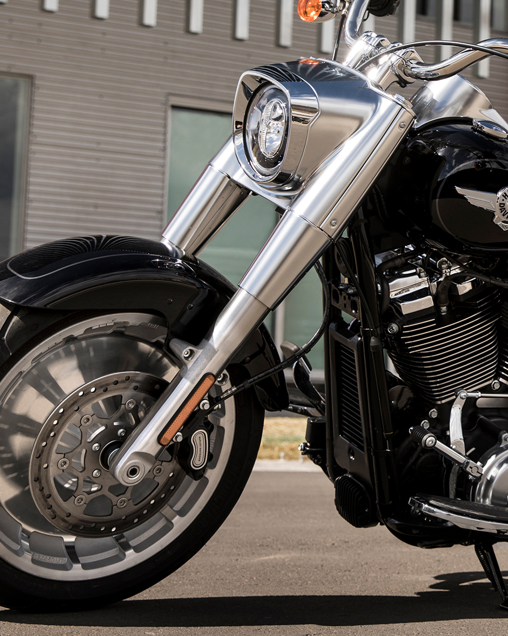 harley davidson fat boy