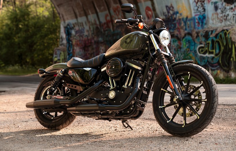 Reciclar Hacer Resignación Motocicleta Iron 883 2021 | Harley-Davidson LATAM
