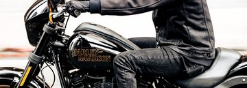 Ładne zdjęcie motocykla Low Rider S