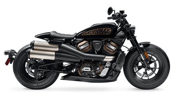 Kit Wild One pour Sportster S