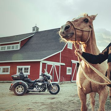 Une femme et un cheval, avec une motocyclette Tri Glide Ultra garée en arrière-plan