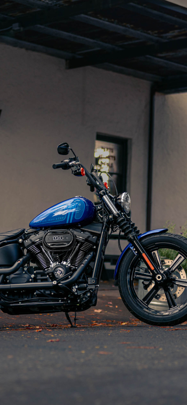 2024 Street Bob 114 | Harley-Davidson JP