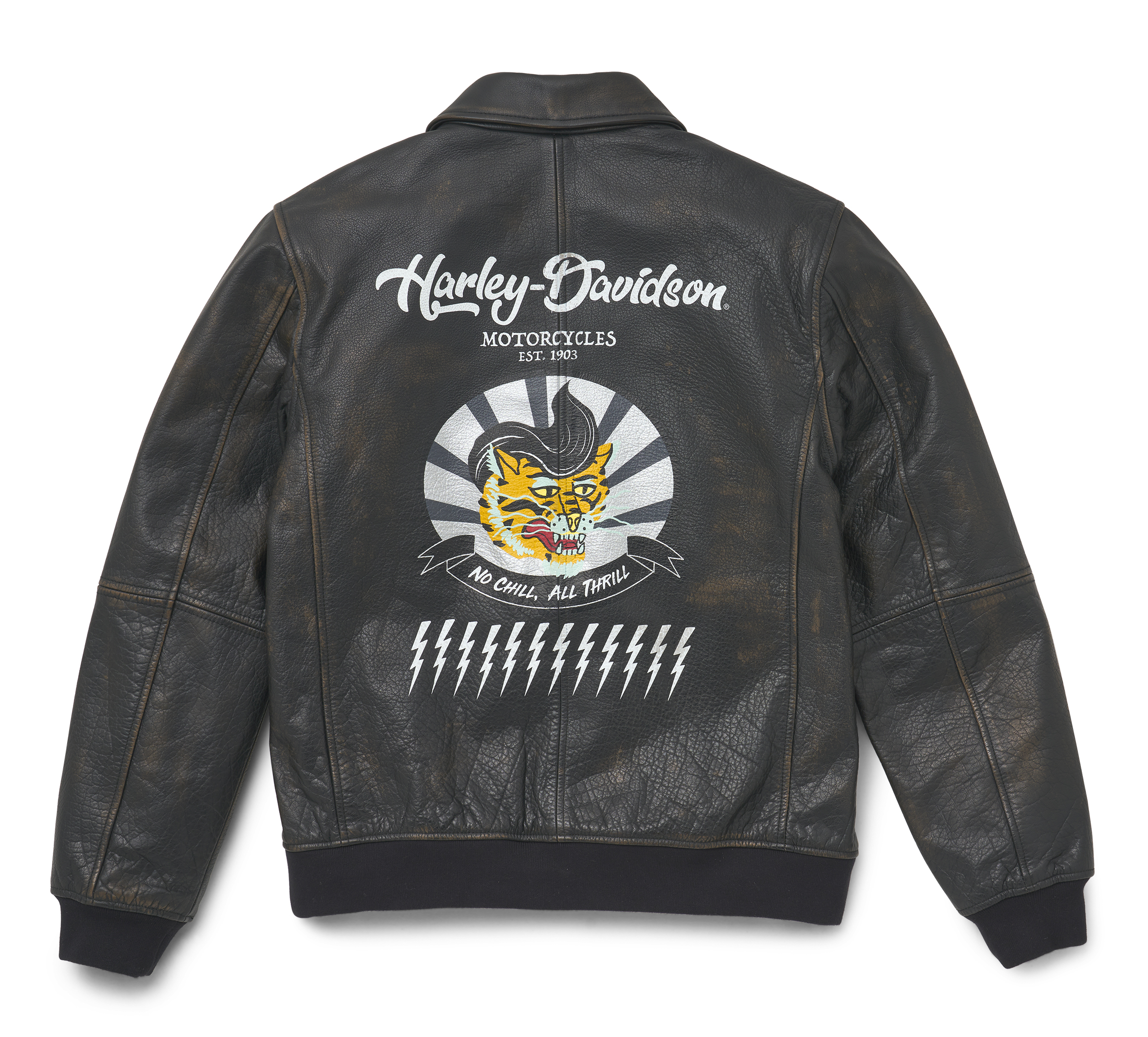 Men's Archer Bomber Leather Jacket