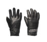 Women's 120th Anniversary Revelry Leather Gloves
