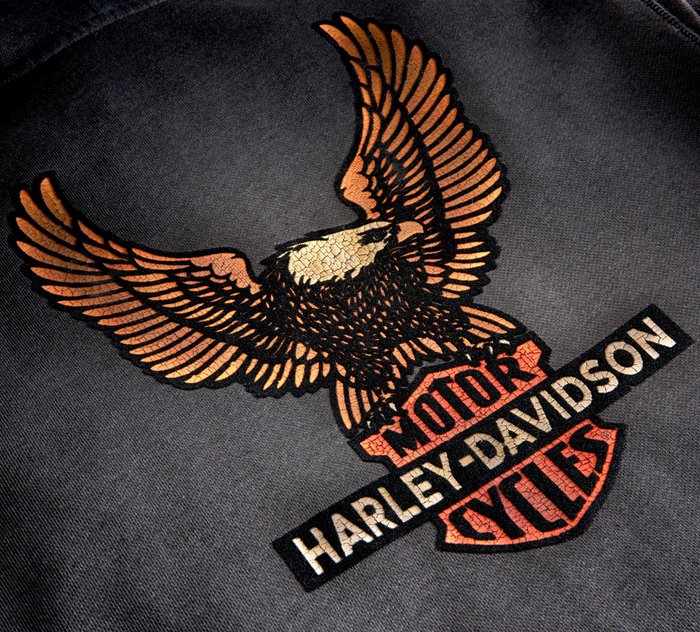 Brand New and Genuine Harley Davidson Men's Eagle Crest Patch Cap 