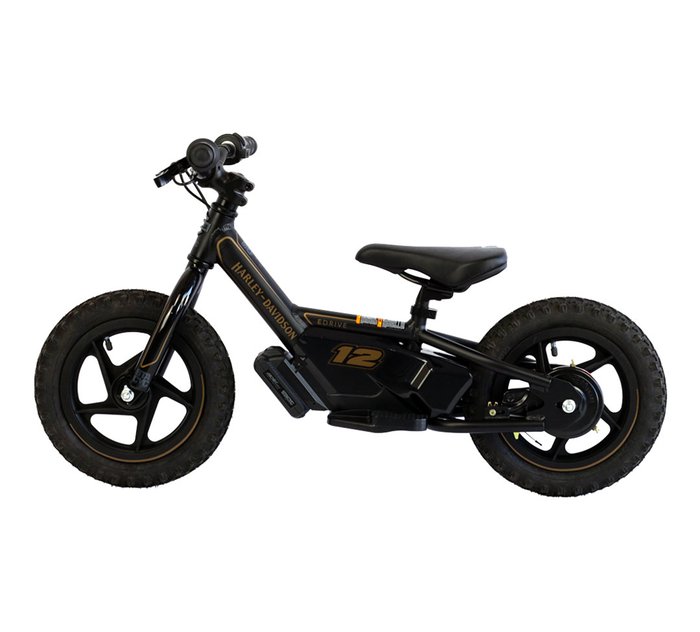 Harley-Davidson presenta sus bicicletas eléctricas para niños - IRONe12