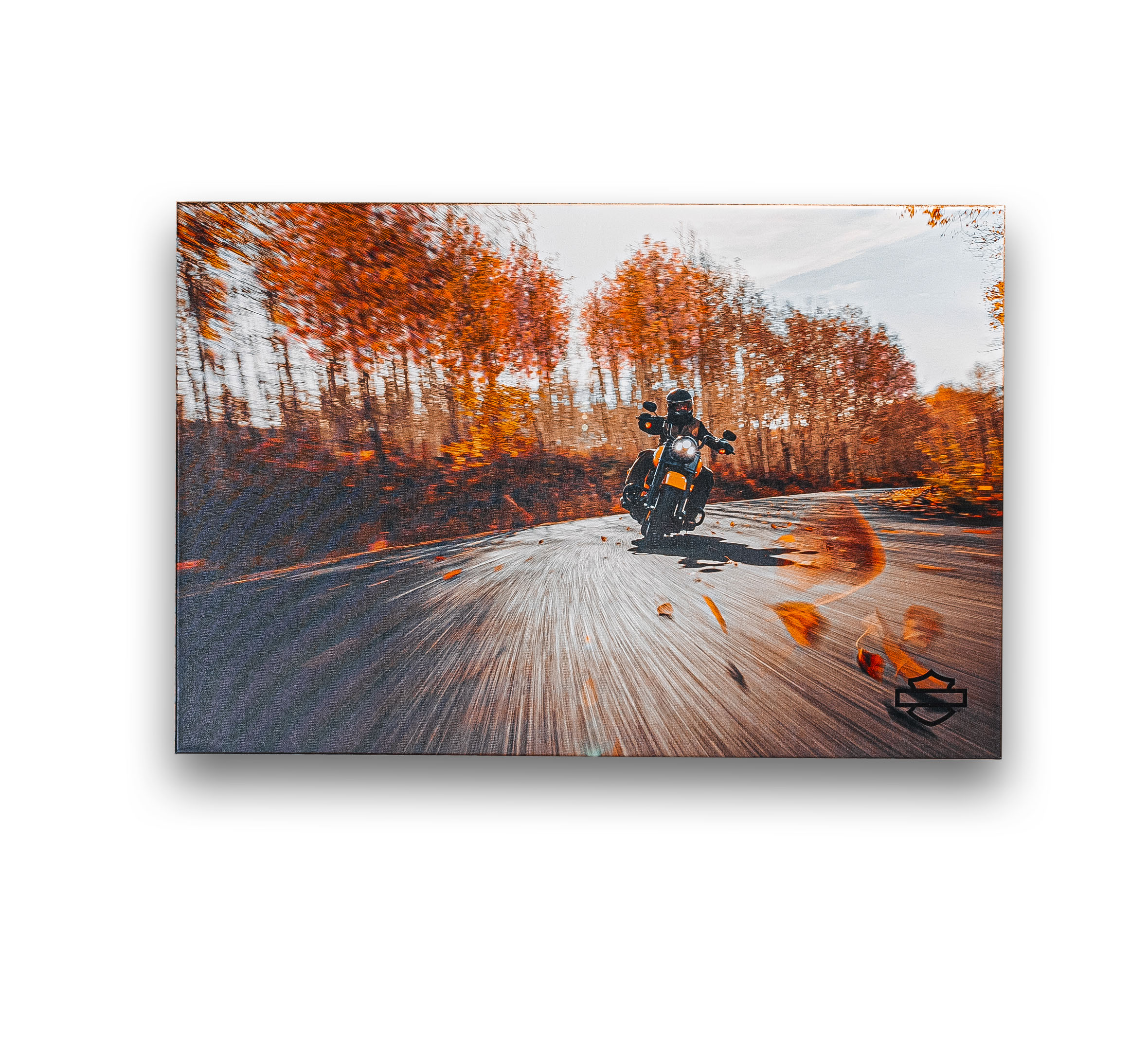 Motorcycle Home Décor