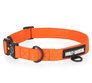 Nylon Dog Collar Orange Sm/Md 13"-17"