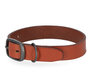 Leather Dog Collar Cognac Sm/Md 13"-17"