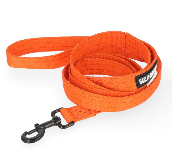 Nylon Dog Leash Orange - 6' 1