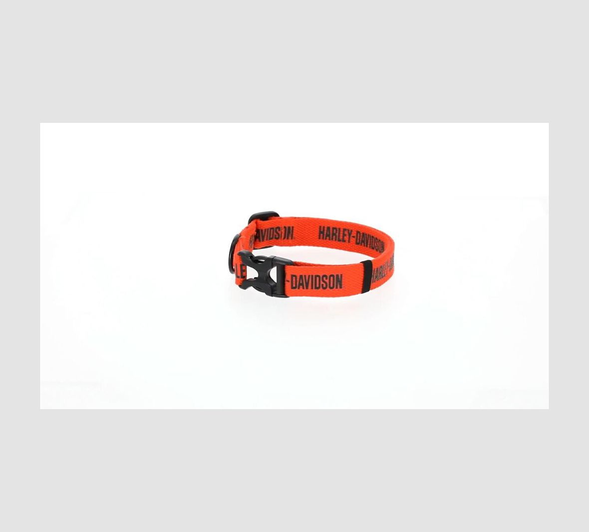 Collier Harley-Davidson