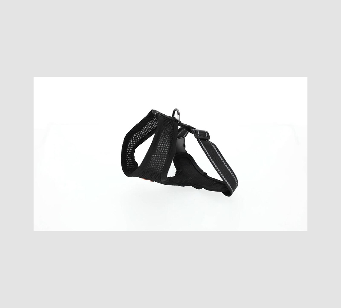 Bar & Shield Harness