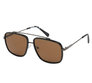 Navigator Sunglasses - Black/Brown