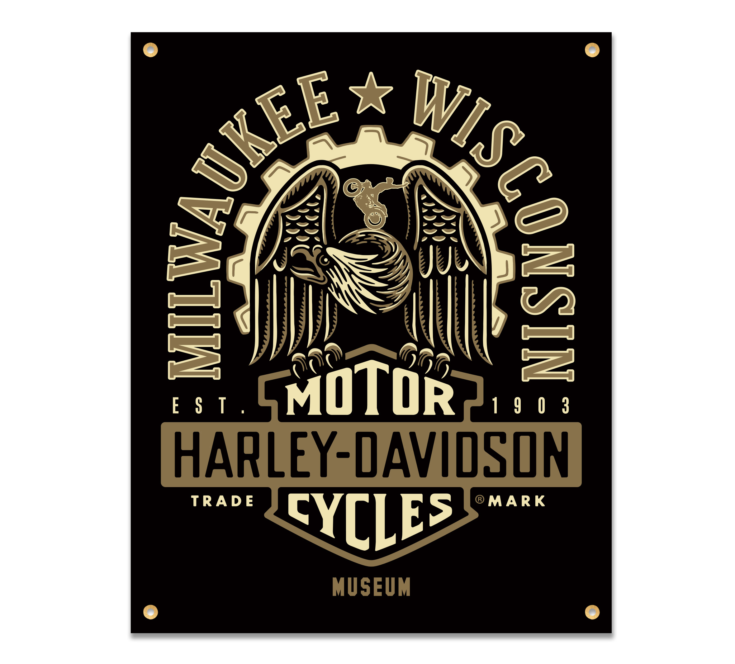 1903 Lightning Bolt Banner | Harley-Davidson USA
