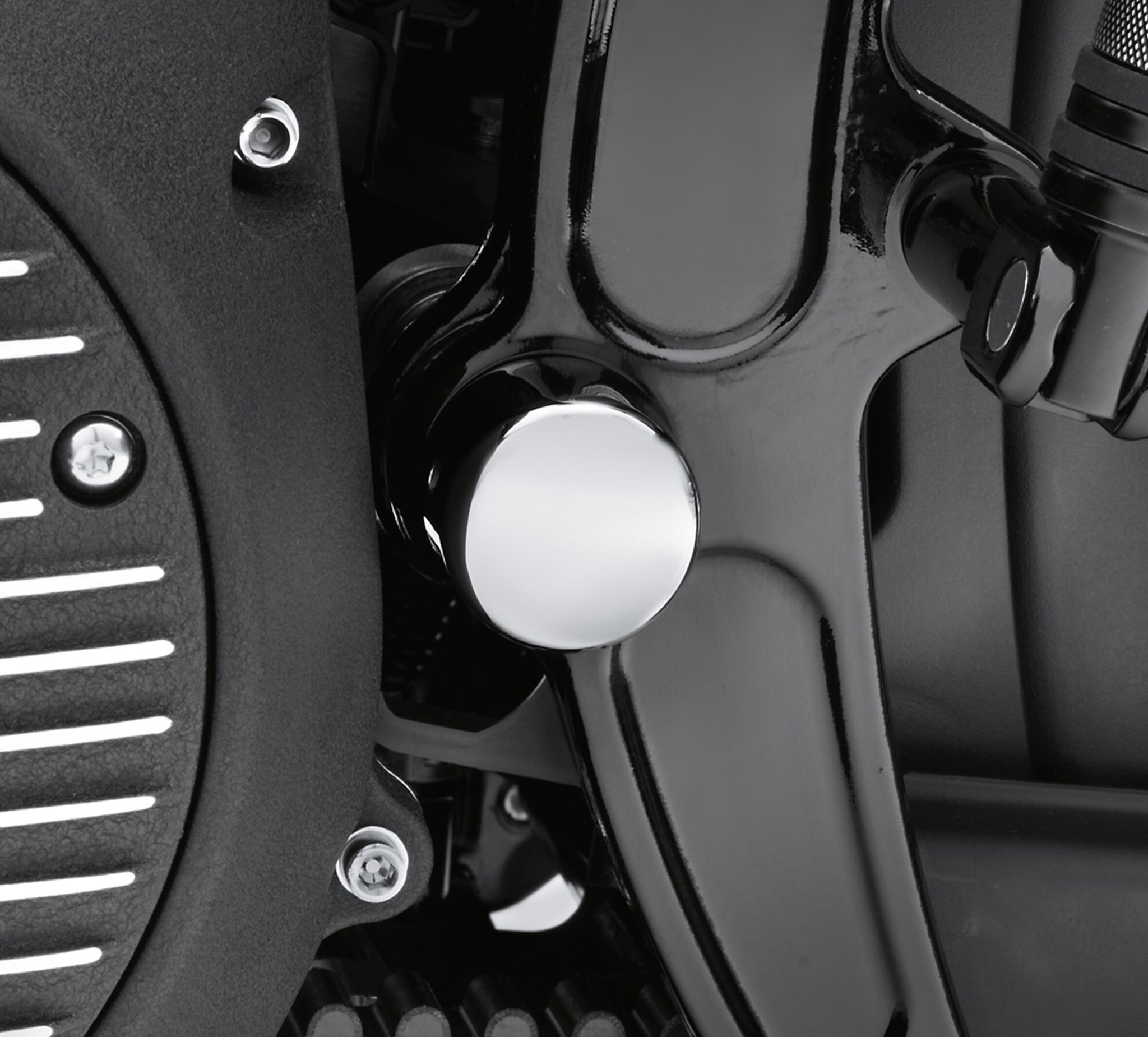 Swingarm Pivot Bolt Cover Kit 4766009 HarleyDavidson USA