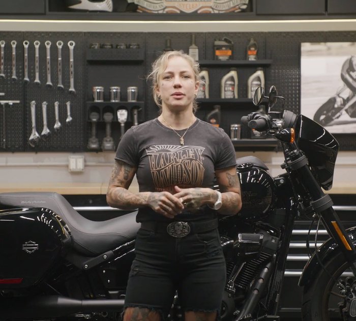 Alforjas negras vívidas aptas para Harley/Davidson Touring 2014, accesorios  de motocicleta