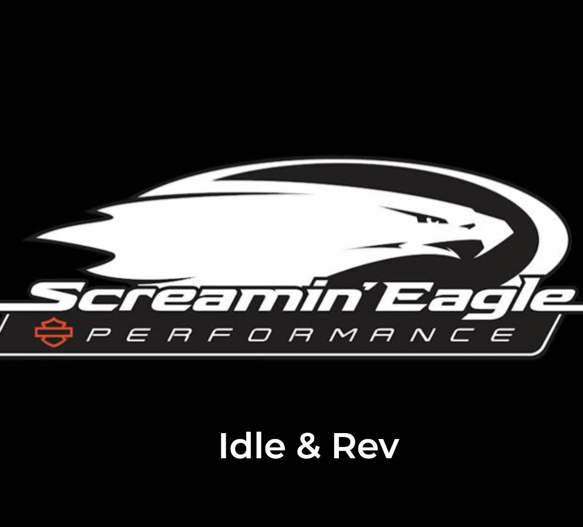 Silencieux à emboîtement en titane Screamin’ Eagle Extreme Flow