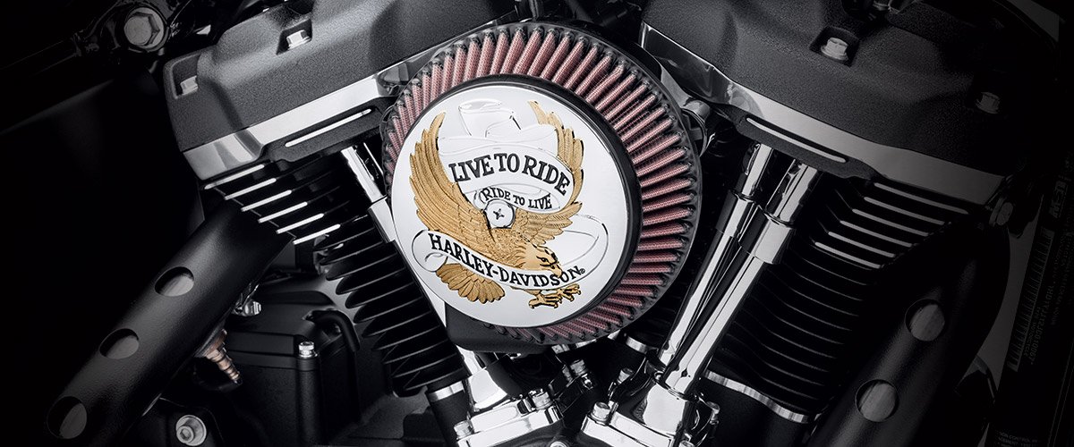 Collection Live to Ride