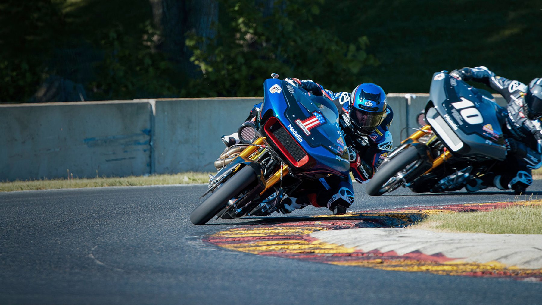 King of the Baggers beauty image