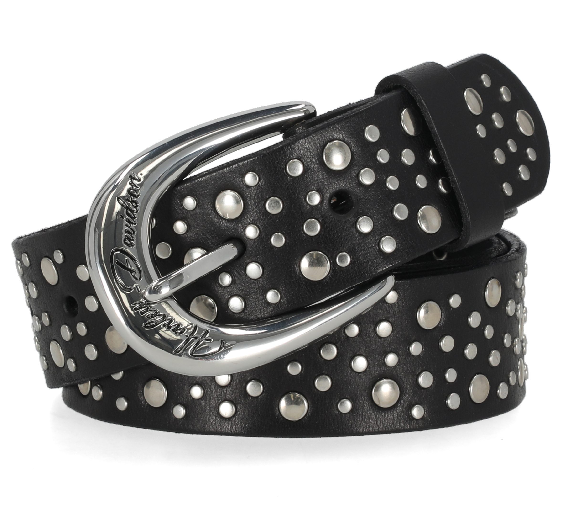 Horsehoe Studded Belt