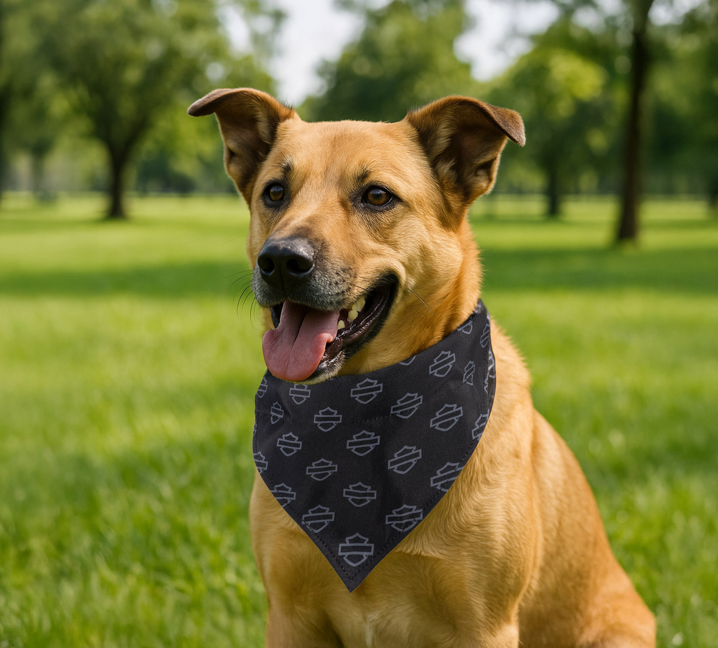 Open Bar & Shield Pet Bandana | Harley-Davidson USA
