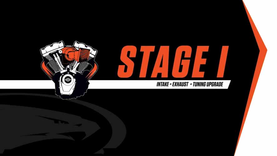 Screaming Eagle Stage 1