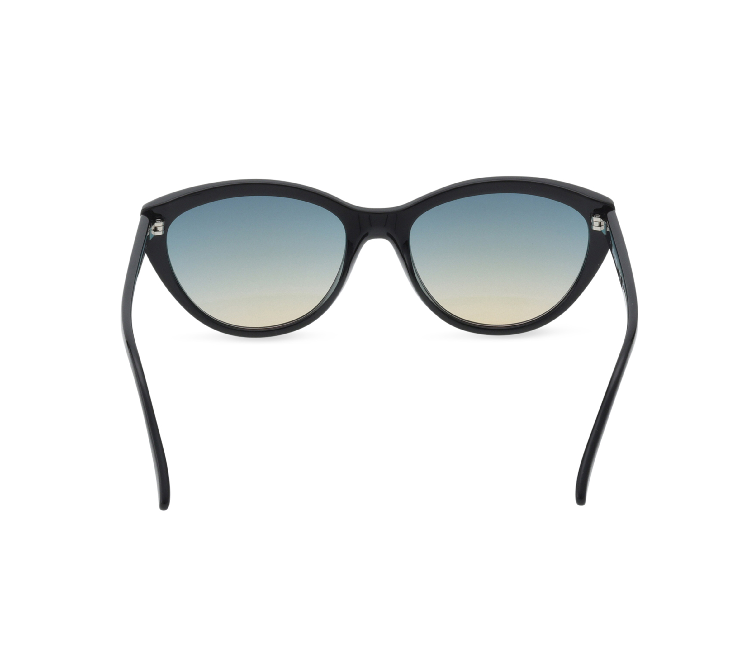 Rim Cat Eye  Lifestyle Sunglasses
