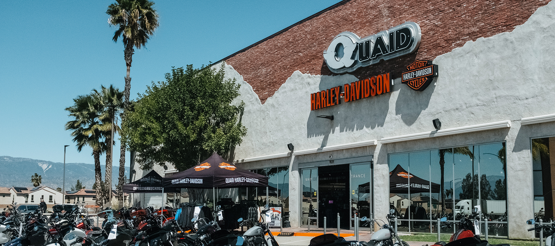 The exterior of Quaid Harley-Davidson dealership with sunshine, palm trees, and bikes and parked out front.