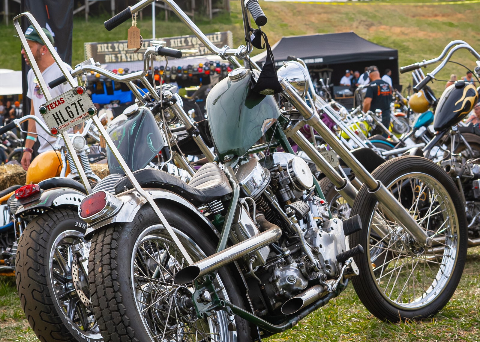 Two Harleys parked in the grass