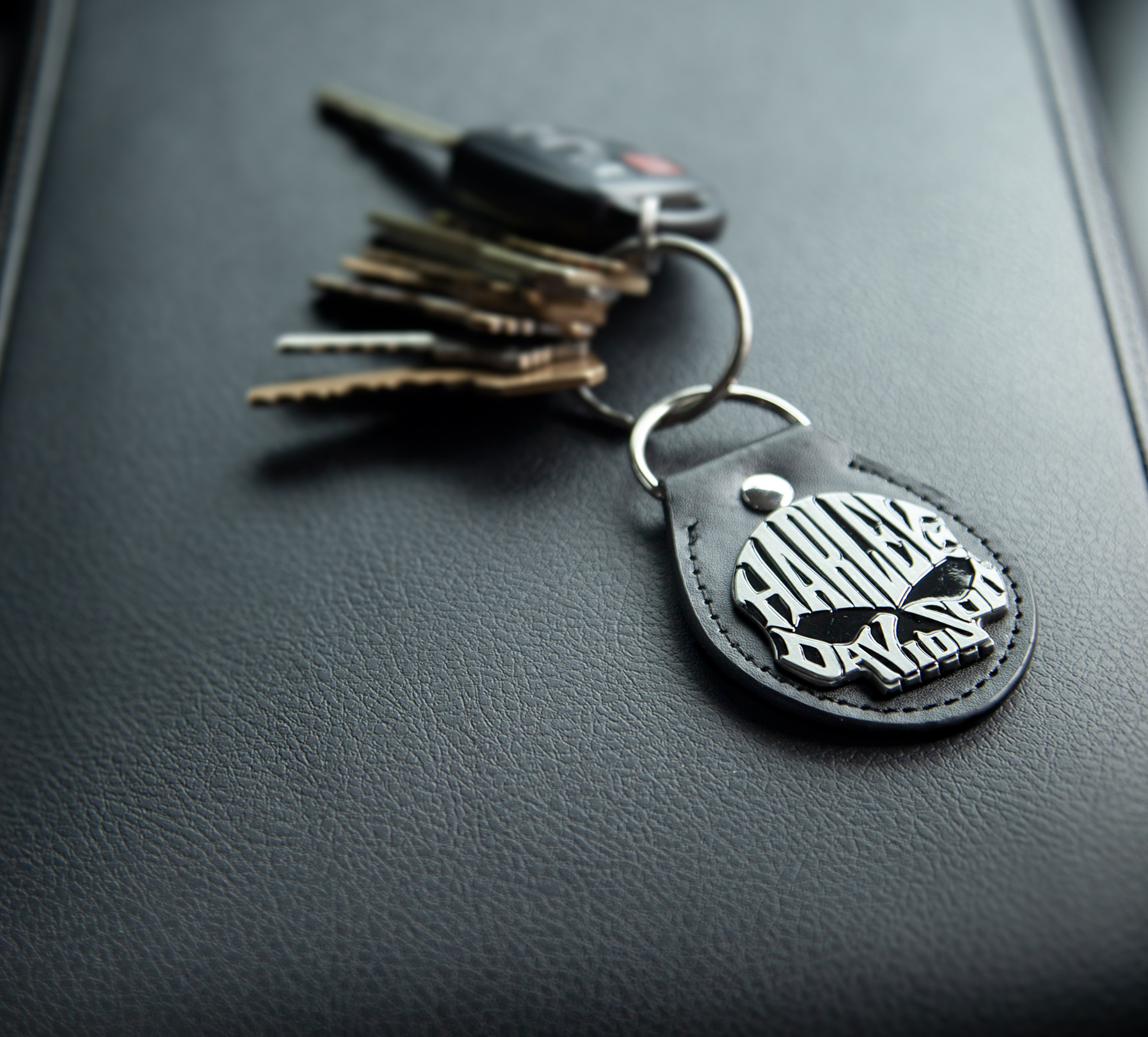 Skull Design Black Fob Key Chain