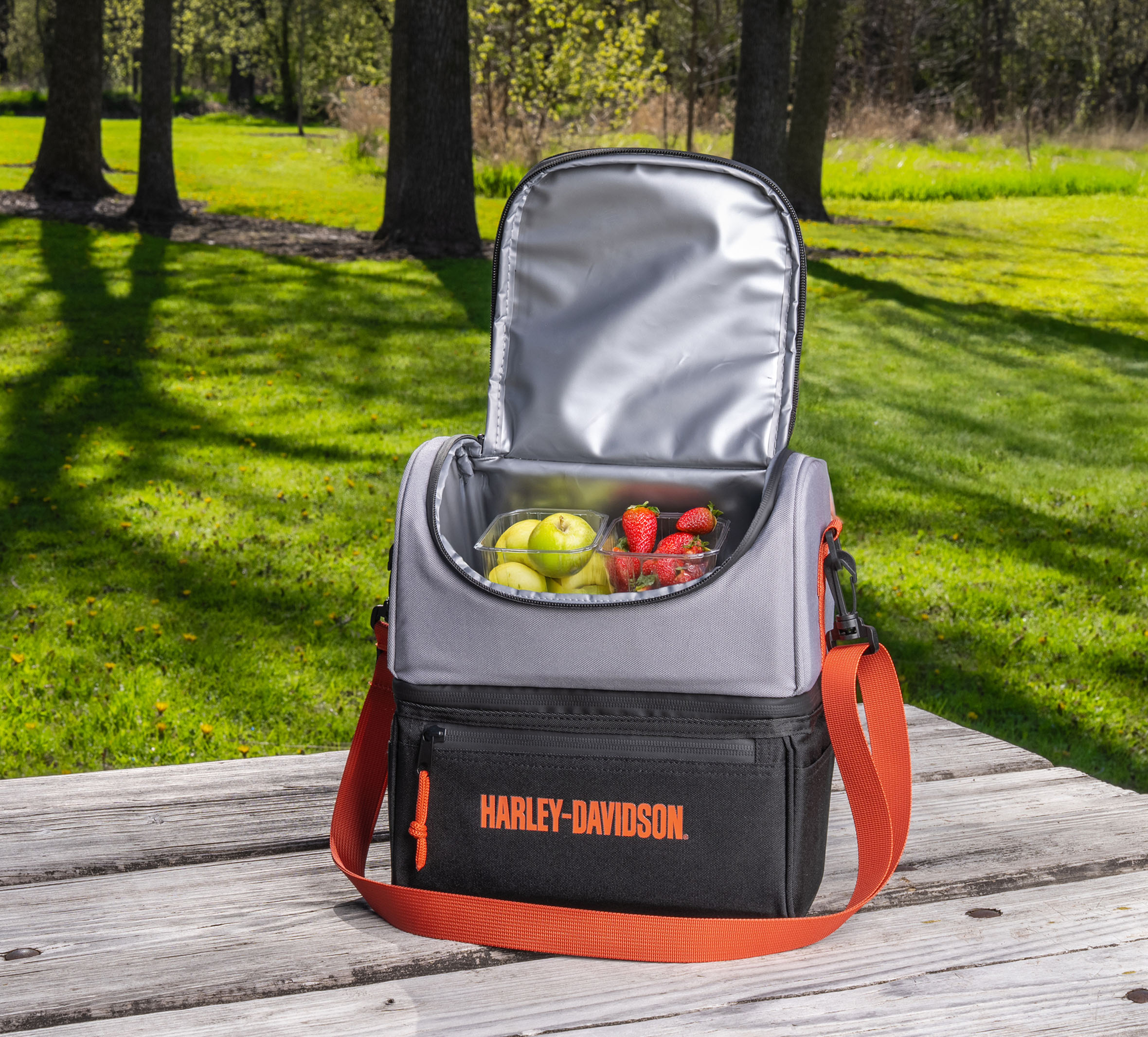 H-D Open Bar & Shield Lunch Box