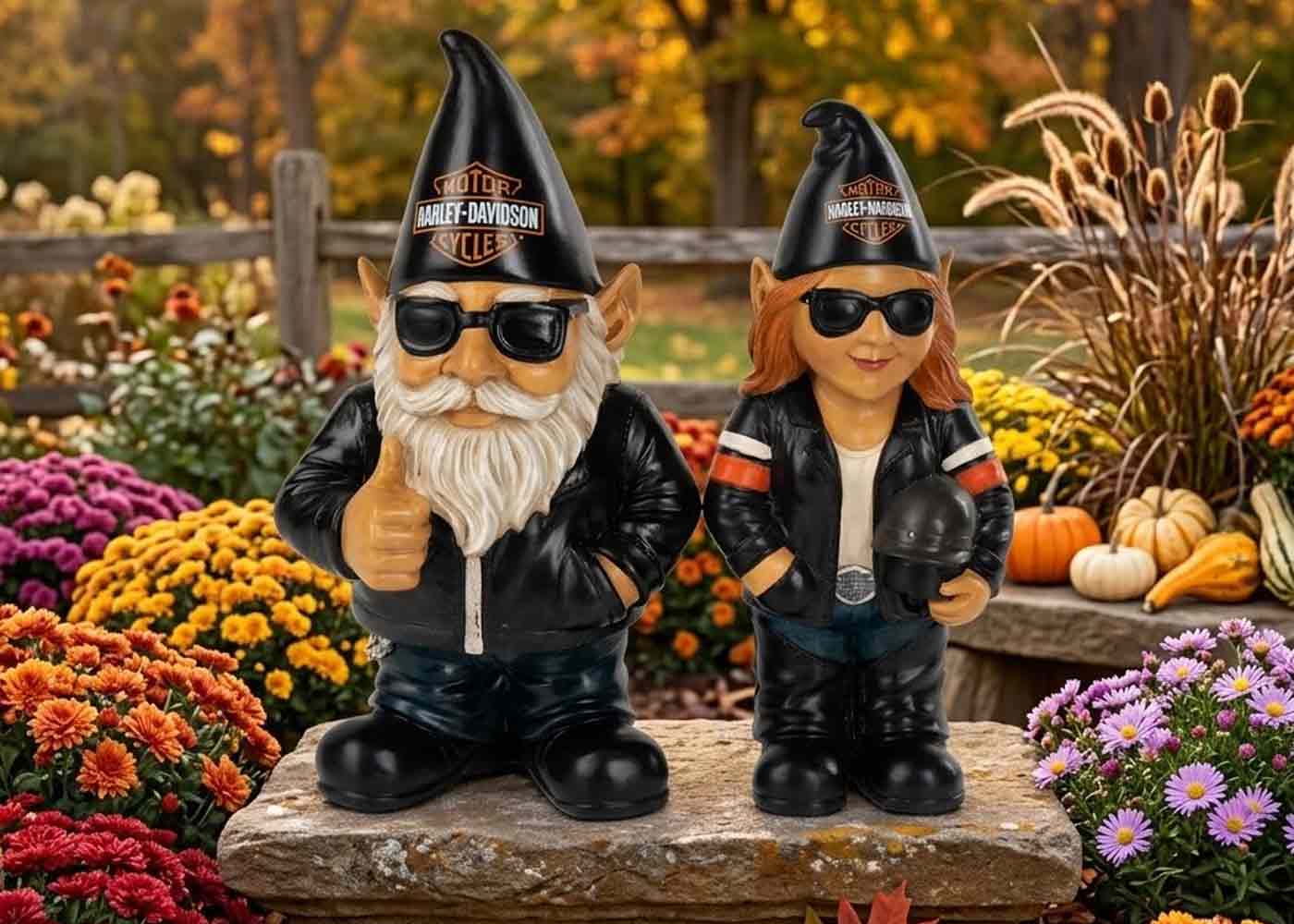 H-D garden gnome