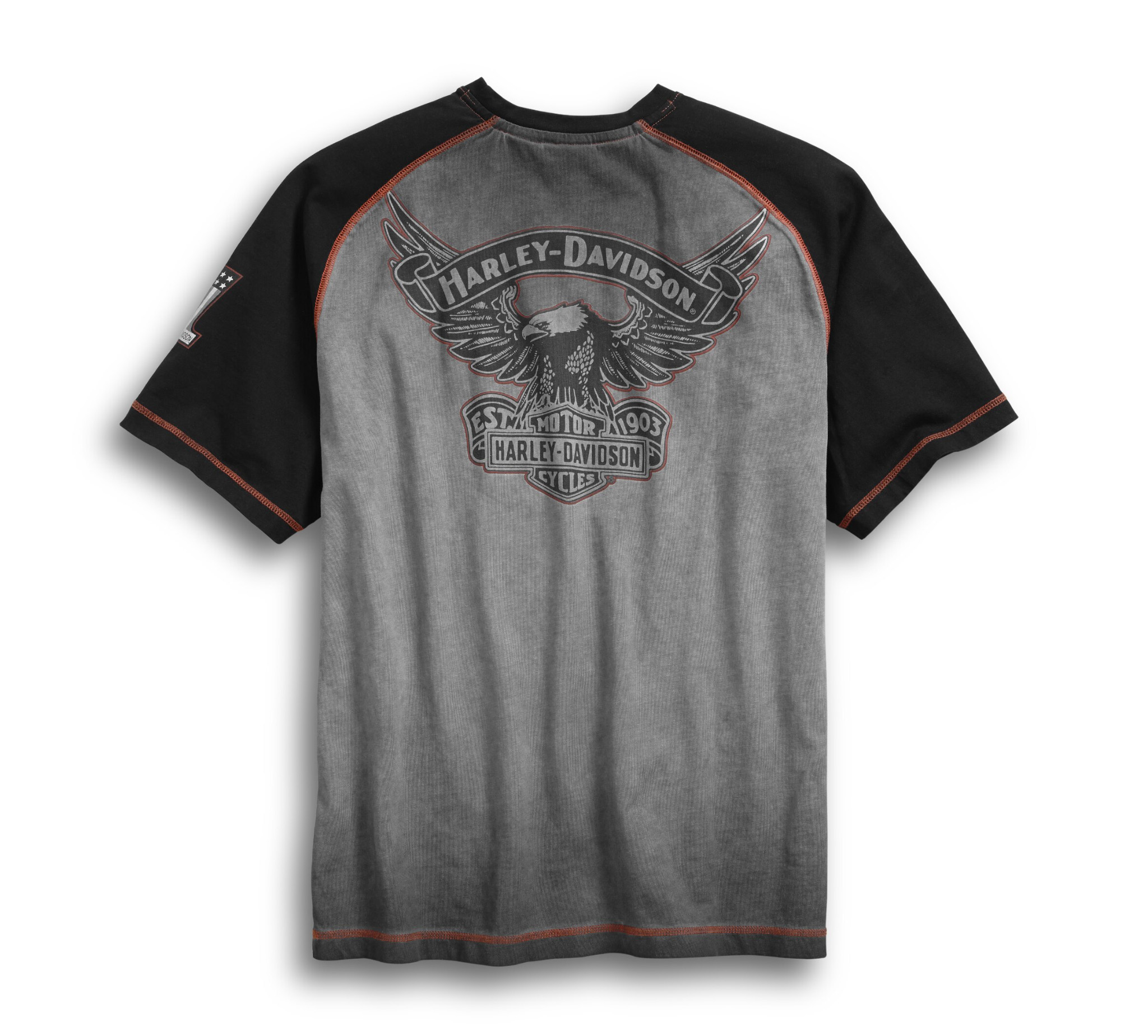 Men's Iron Block Raglan Tee