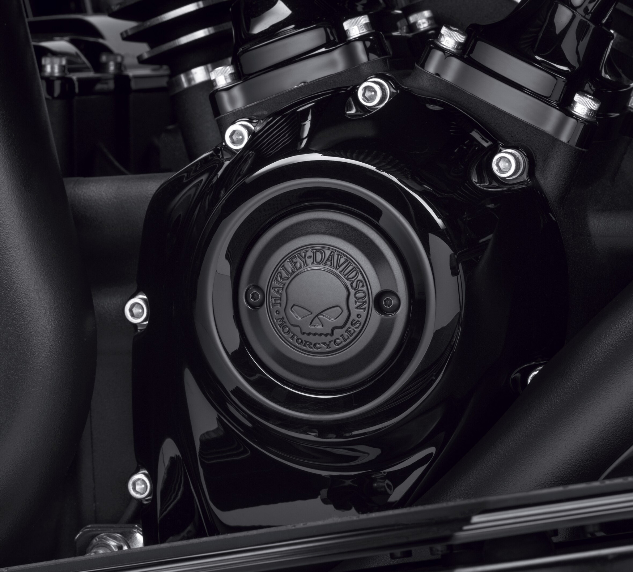 Willie G Skull Timer Cover