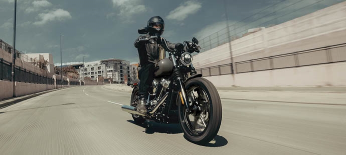 Street Bob on city street