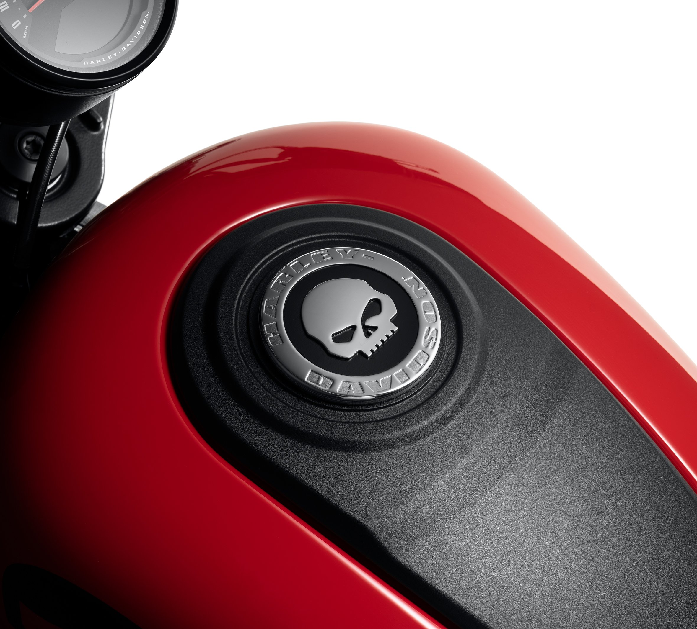 Willie G Skull Decorative Medallion