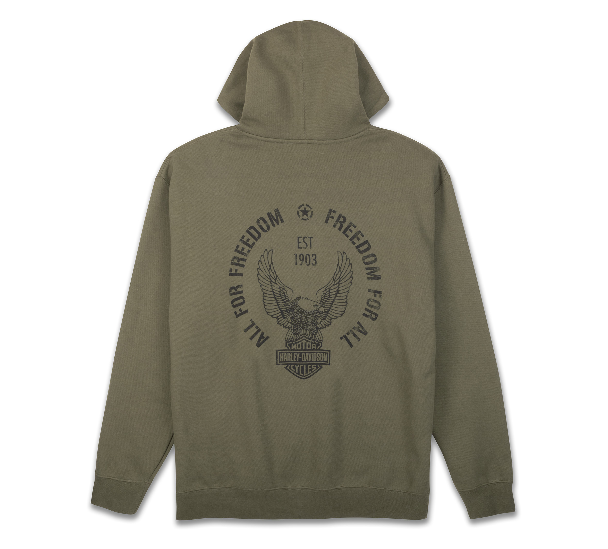 Men's Arch H-D Upswept Eagle Midweight Hoodie | Harley-Davidson USA