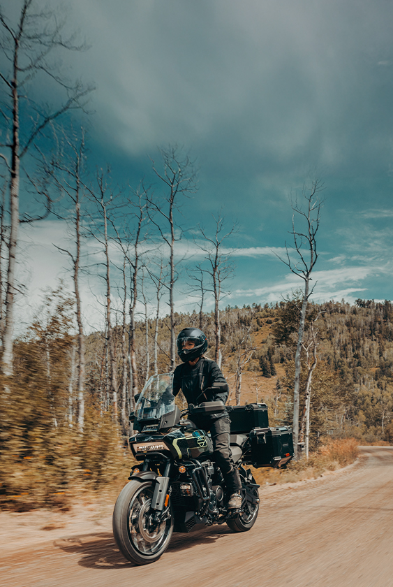 2026 Pan America 1250 Limited Riding Shot