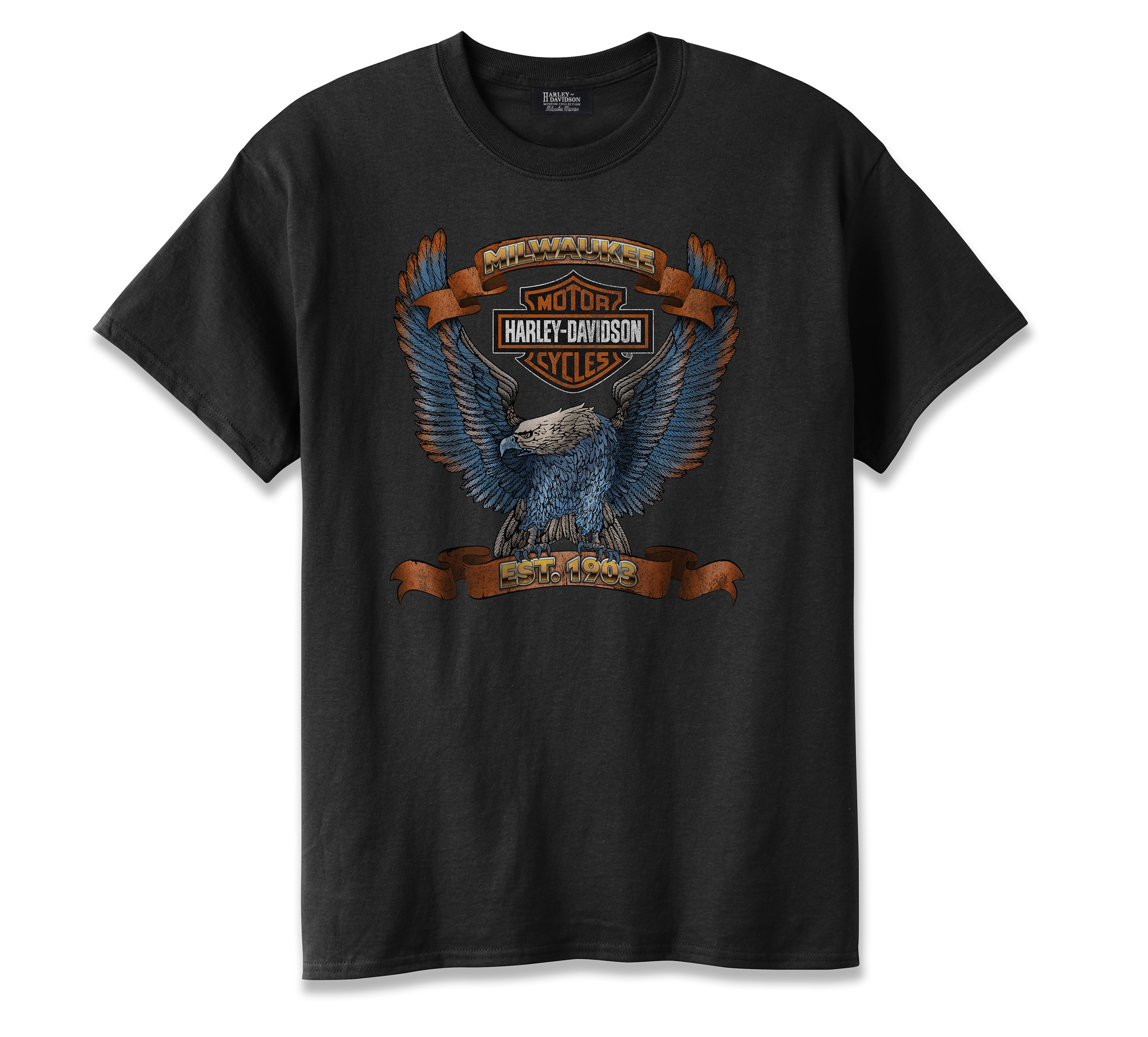 Men's Vintage Eagle Scroll Tee