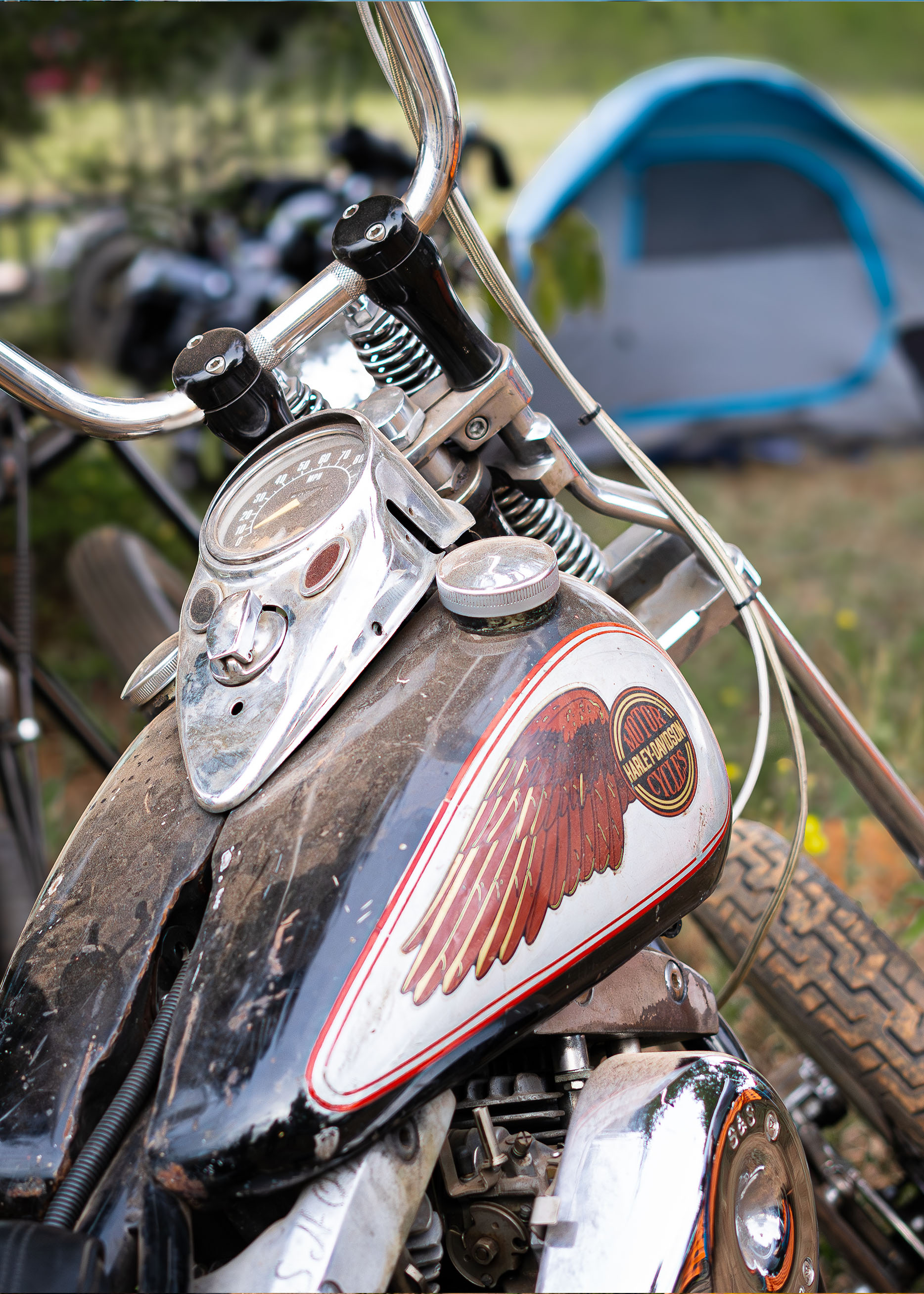 Close up of a black and white harley 