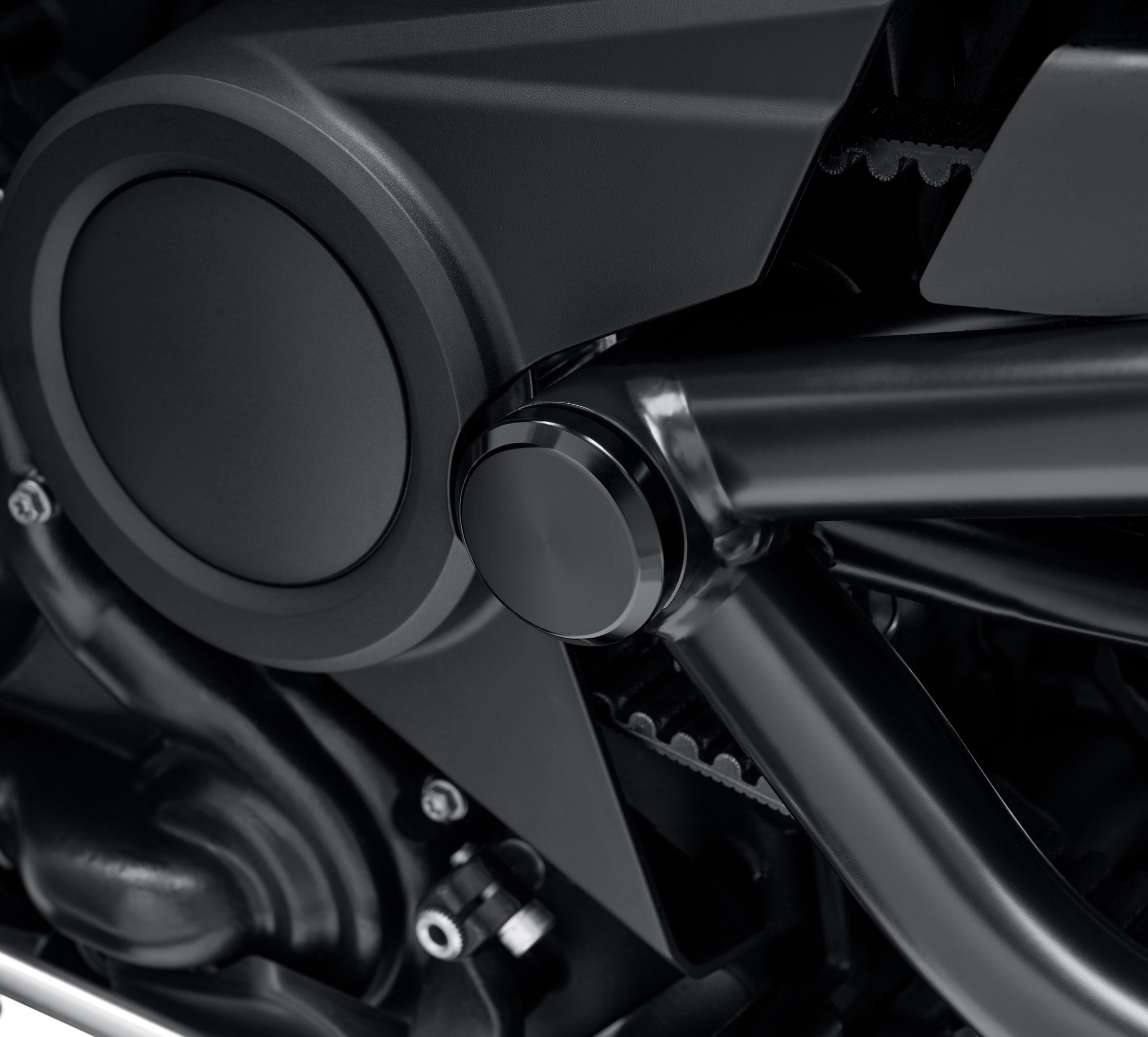 Swingarm Pivot Bolt Covers