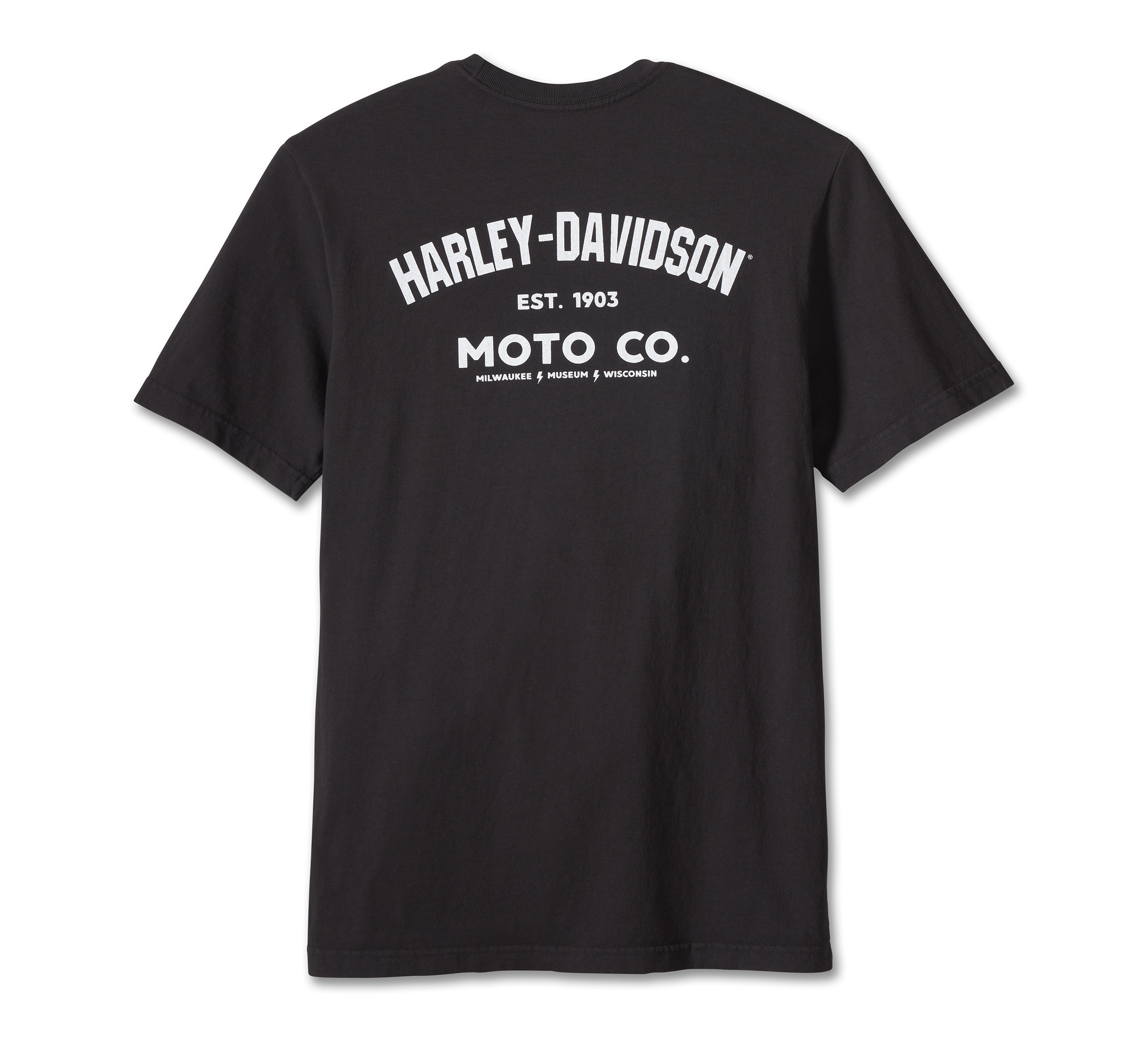 Men's Eagle Flames Tee