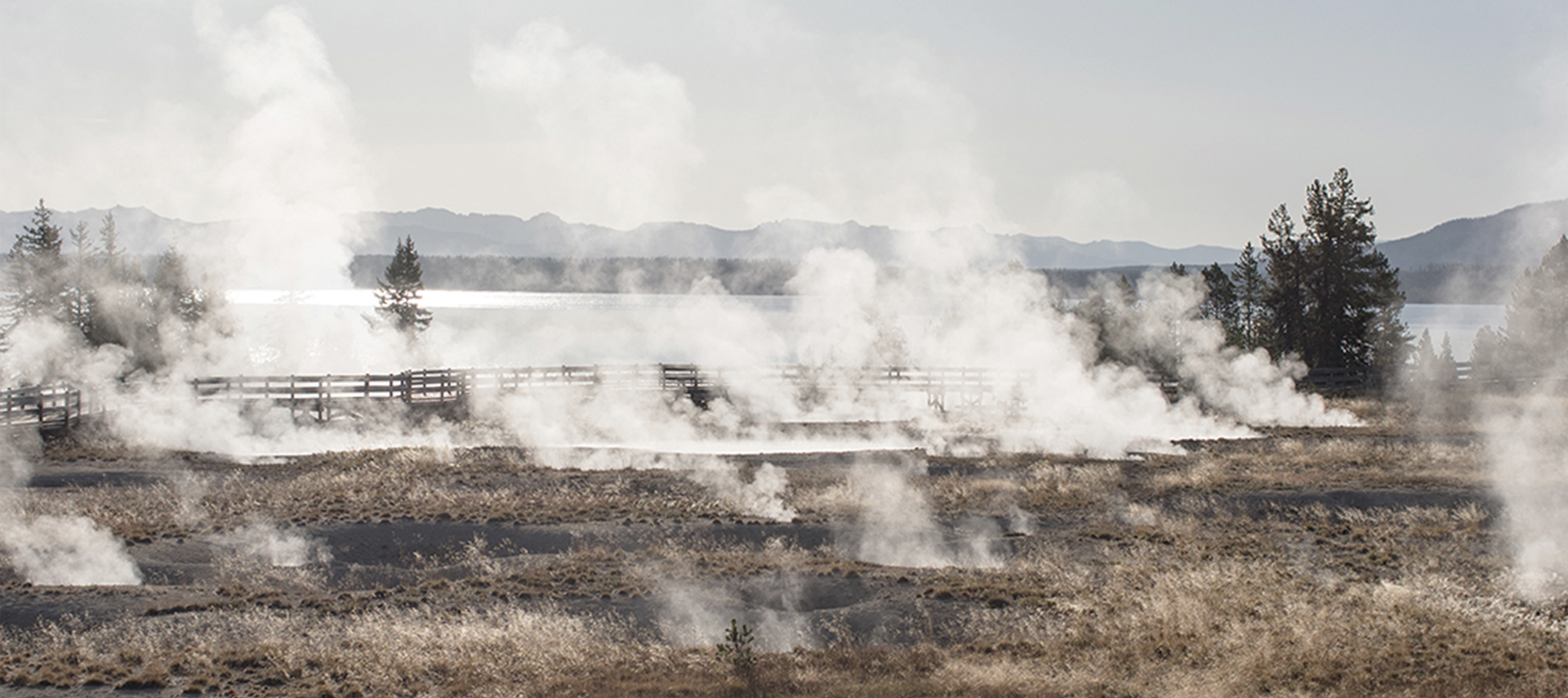 Steam comes out of the ground in Yellowstone 