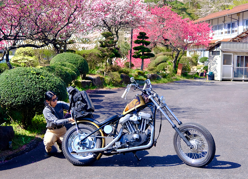 Custom motorcycle parked on a paved area with Adri Law  crouched beside it, framed by blooming pink trees and buildings